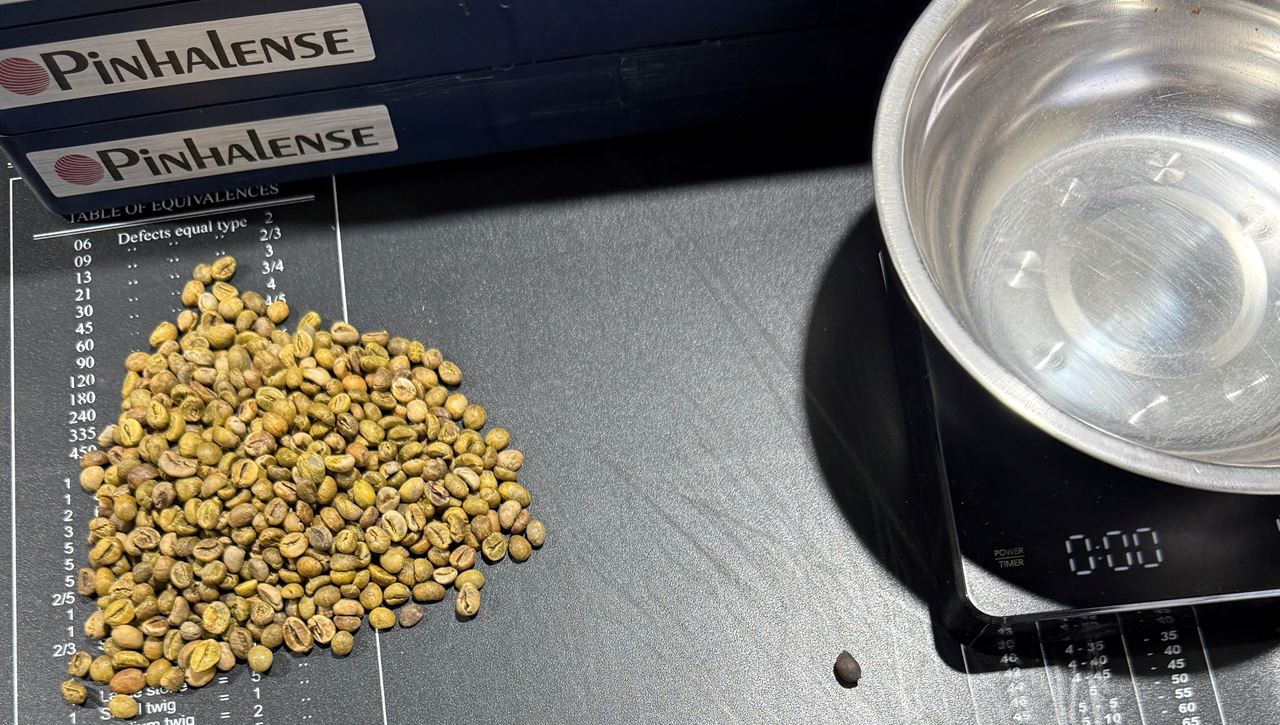 Café em grão